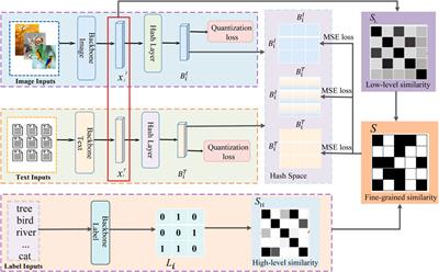 Fine-grained similarity semantic preserving deep hashing for cross-modal retrieval